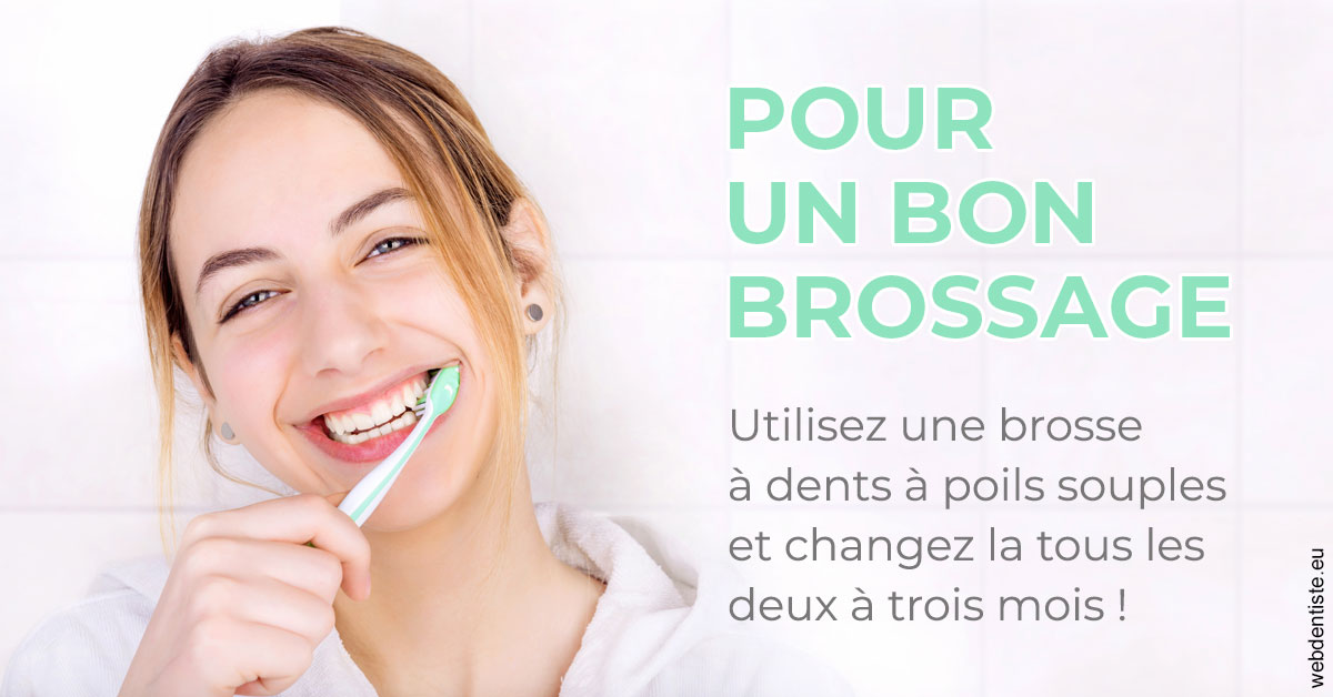 https://scp-benkimoun-lafont-roussarie.chirurgiens-dentistes.fr/Pour un bon brossage 2