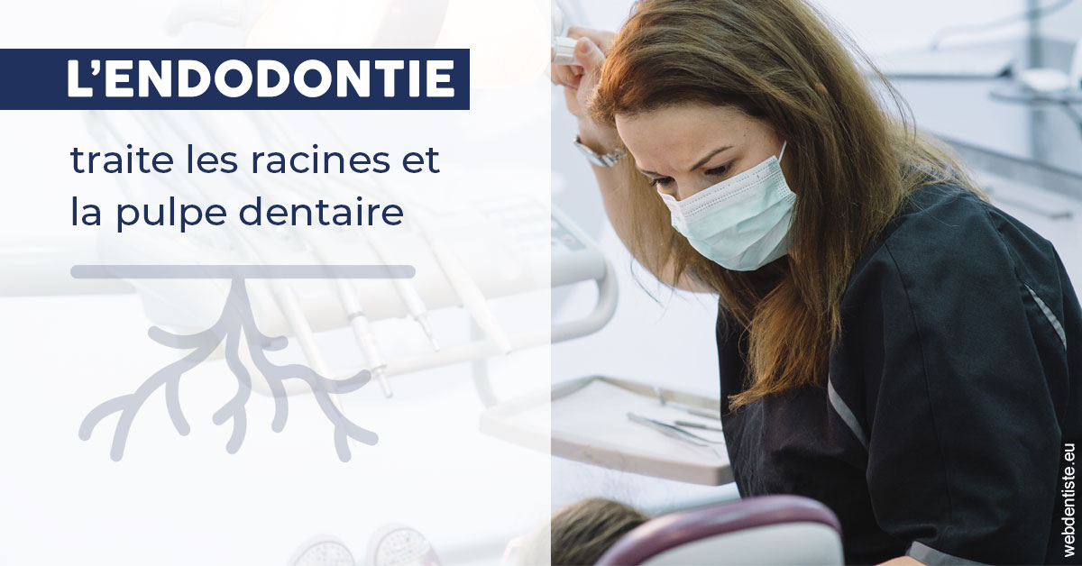 https://scp-benkimoun-lafont-roussarie.chirurgiens-dentistes.fr/L'endodontie 1