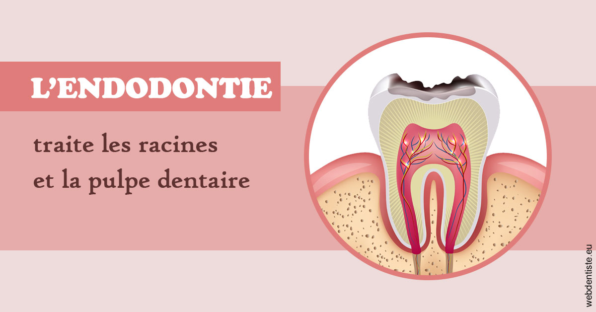 https://scp-benkimoun-lafont-roussarie.chirurgiens-dentistes.fr/L'endodontie 2