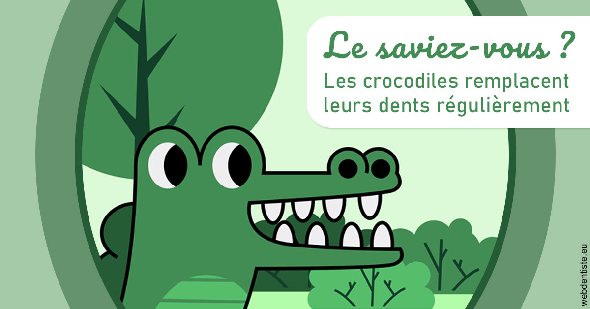 https://scp-benkimoun-lafont-roussarie.chirurgiens-dentistes.fr/Crocodiles 2