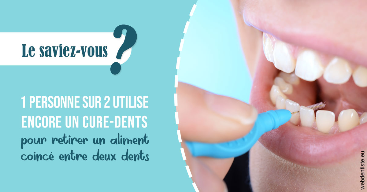 https://scp-benkimoun-lafont-roussarie.chirurgiens-dentistes.fr/Cure-dents 1