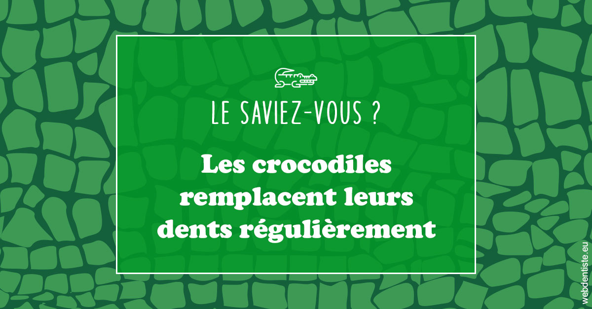 https://scp-benkimoun-lafont-roussarie.chirurgiens-dentistes.fr/Crocodiles 1